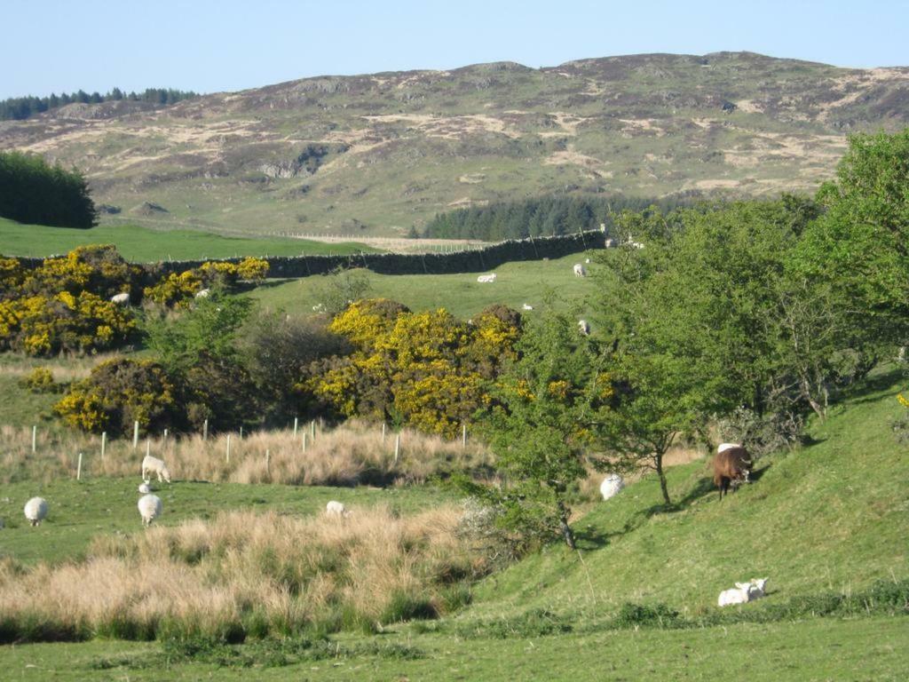 Barcloy Honey House Villa Kirkcudbright Exteriör bild